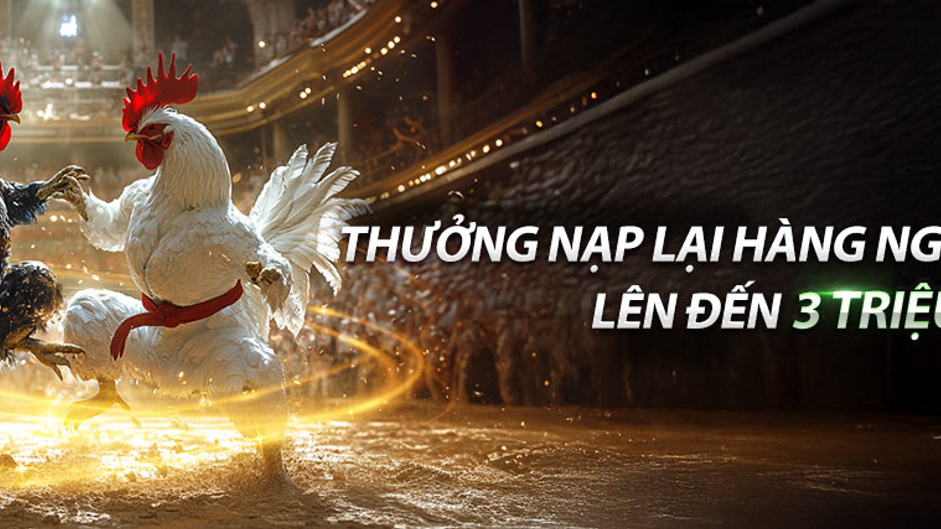 Đá gà trực tiếp SCV388