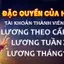 Chương trình VIP SCV388