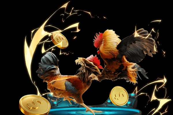 Đá gà trực tiếp SCV388